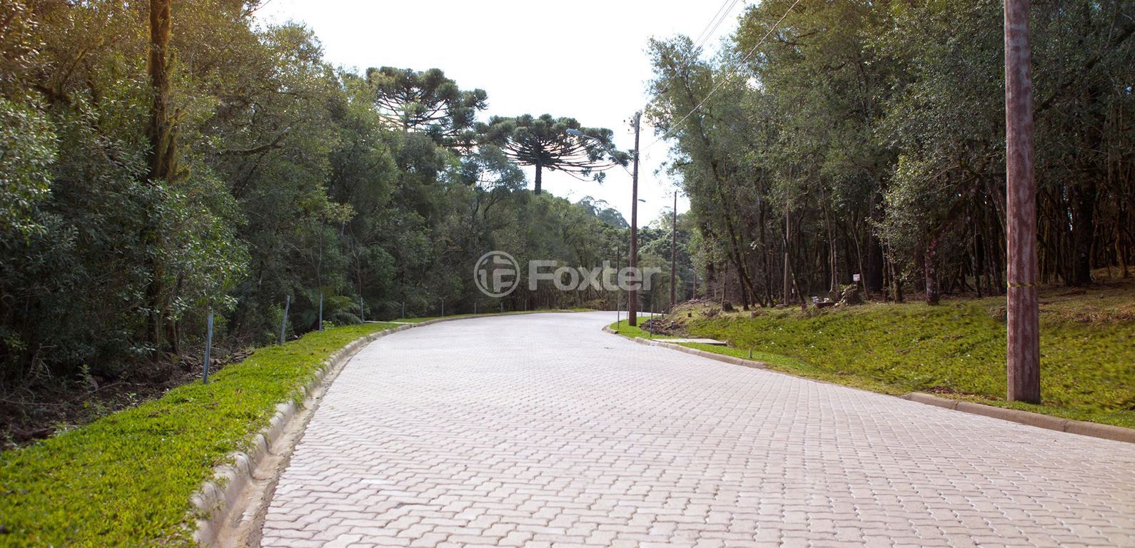 terreno lote condominio para comprar em ERS-466, QUADRA A - foto 10