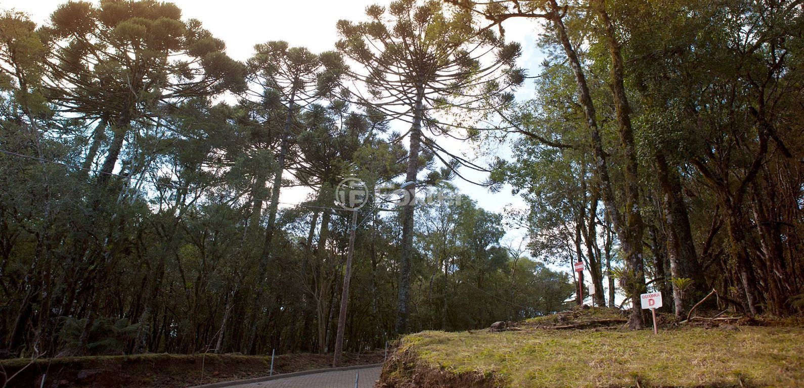 terreno lote condominio para comprar em ERS-466, QUADRA A - foto 9