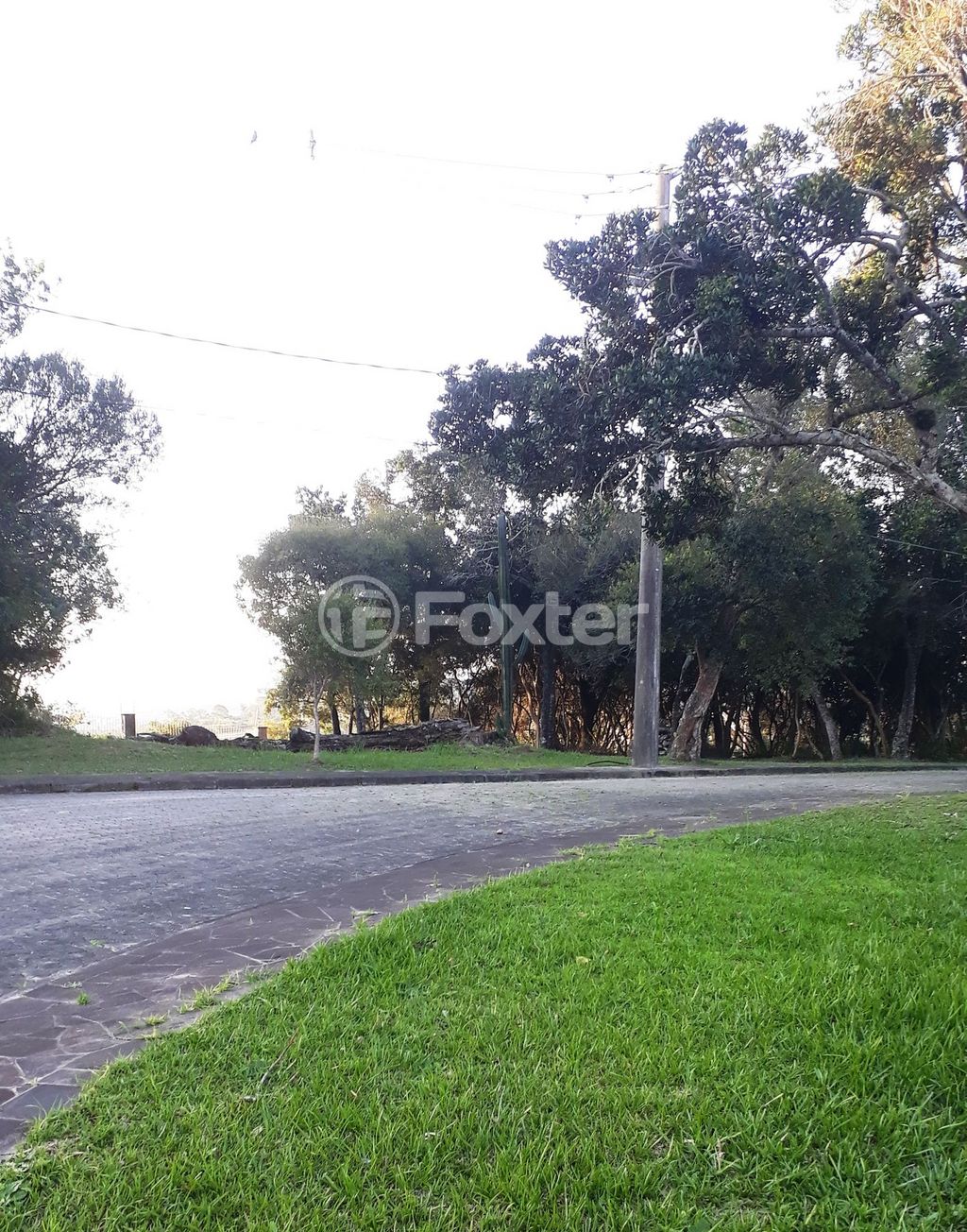 Foto do Anuncio