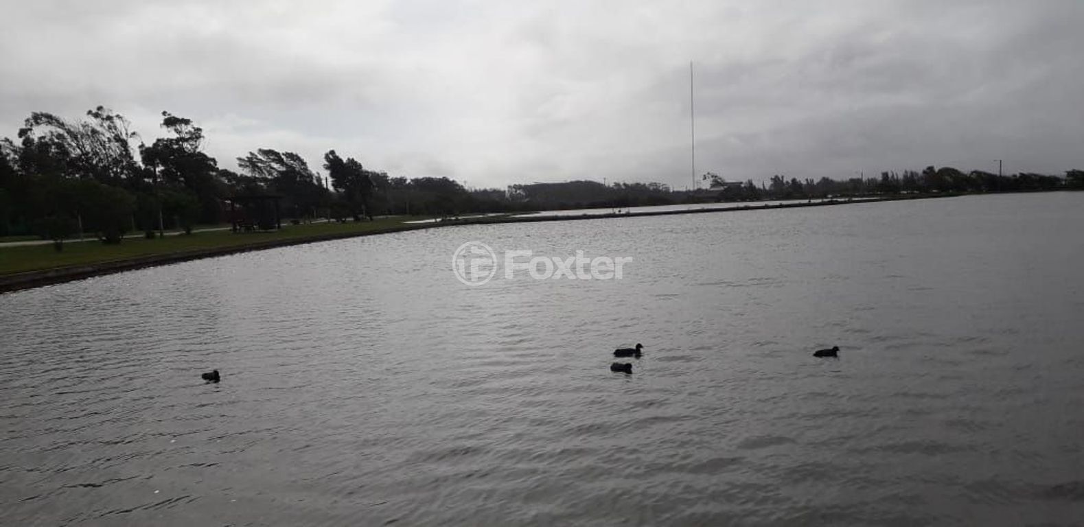 Casa em condominio para comprar em RS-030, 17445 - foto 19