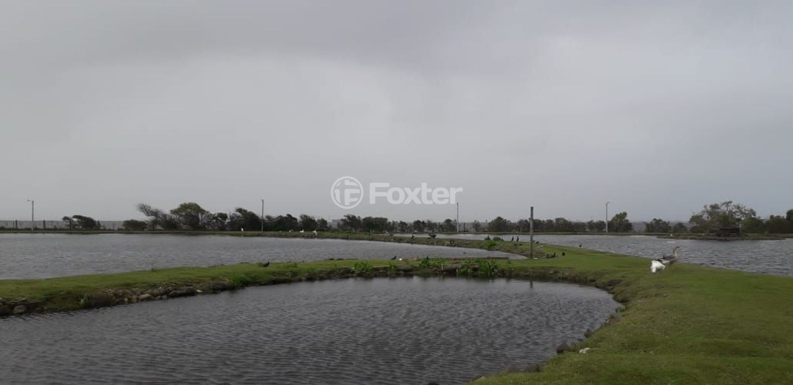 Casa em condominio para comprar em RS-030, 17445 - foto 22