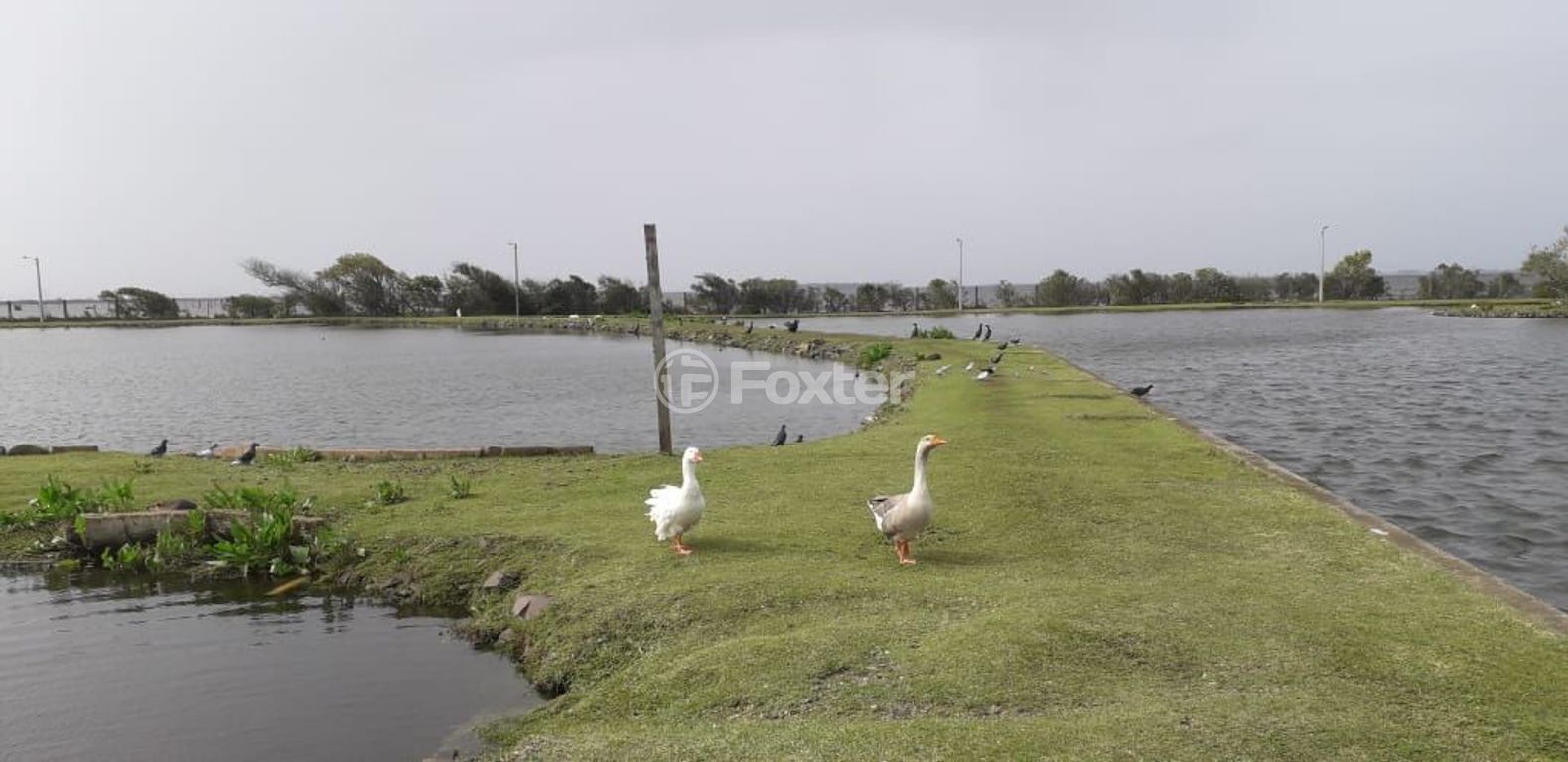 Casa em condominio para comprar em RS-030, 17445 - foto 24