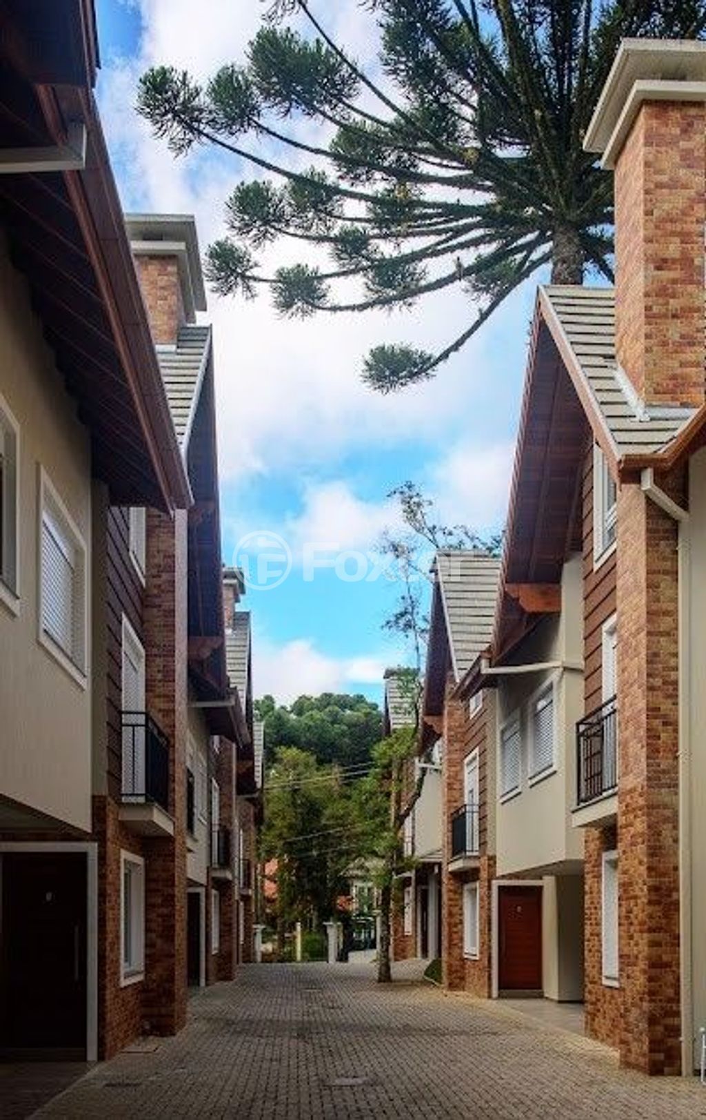 Casa em condominio para comprar em Coronel Theobaldo Fleck, 624 - foto 7
