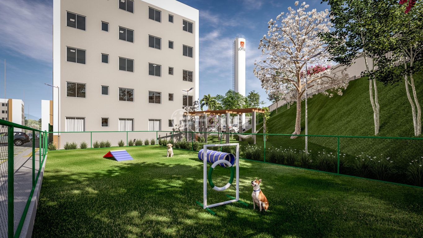 Apartamento para comprar em Lindolfo Collor, 99 - foto 14