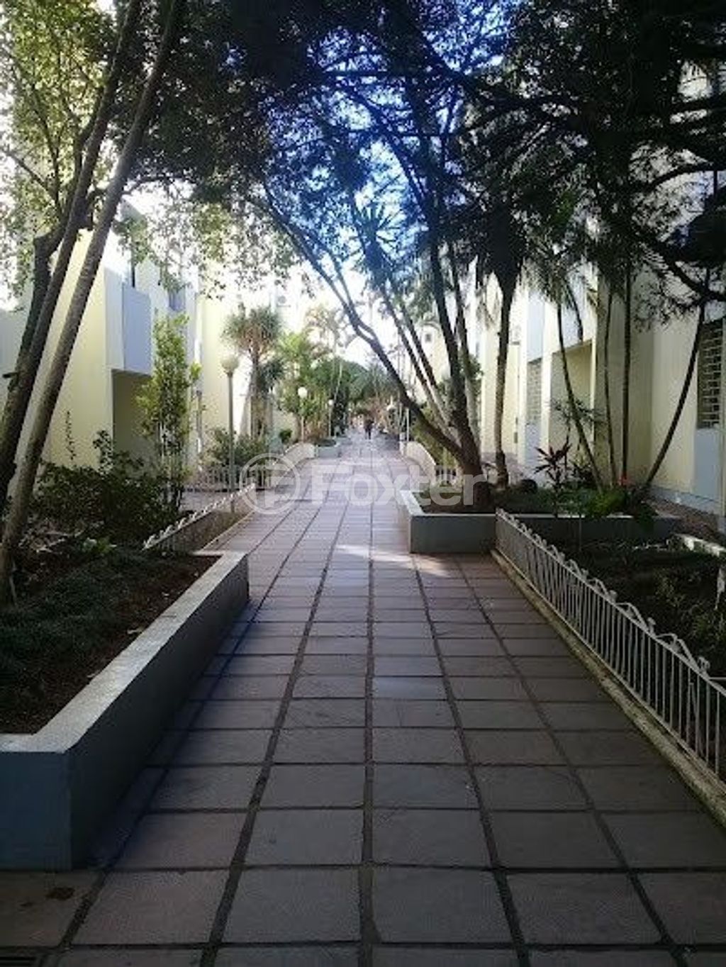 loja ponto comercial para comprar em Engenheiro Francisco Rodolfo Simch, 299 - foto 5