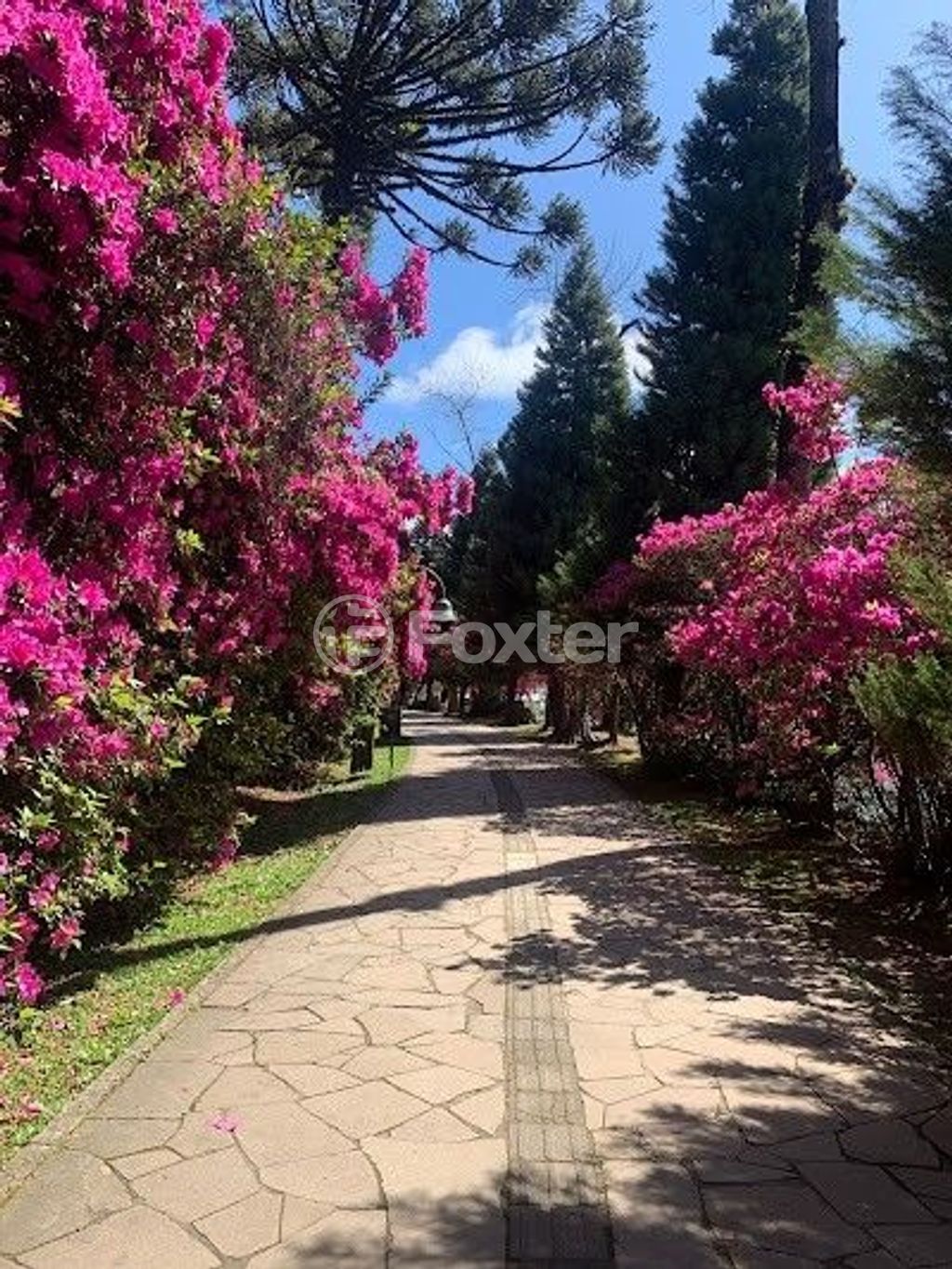 Apartamento para comprar em João Alfredo Schneider, 1310 - foto 4