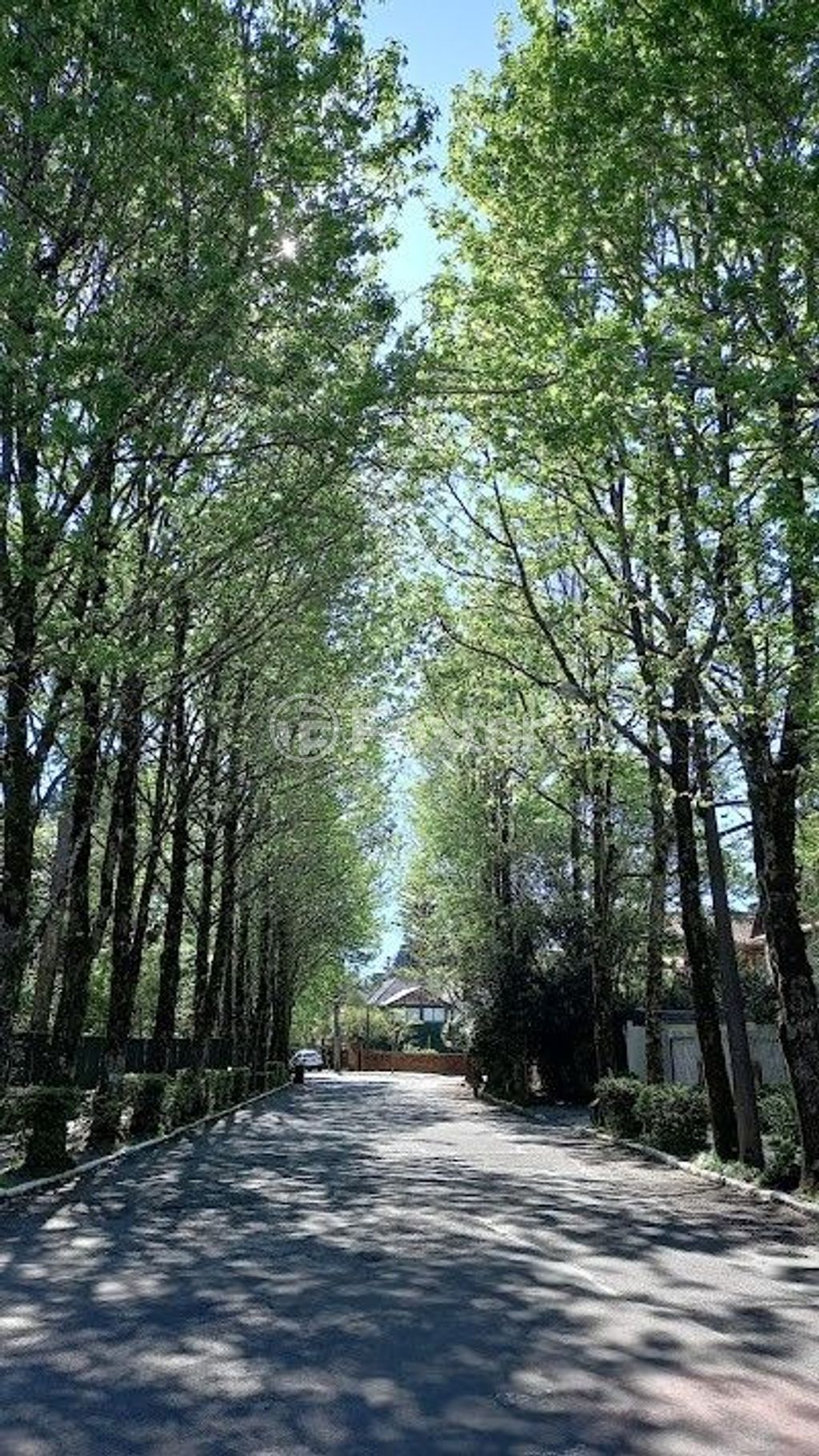 Apartamento para comprar em Planalto, Gramado - foto 1