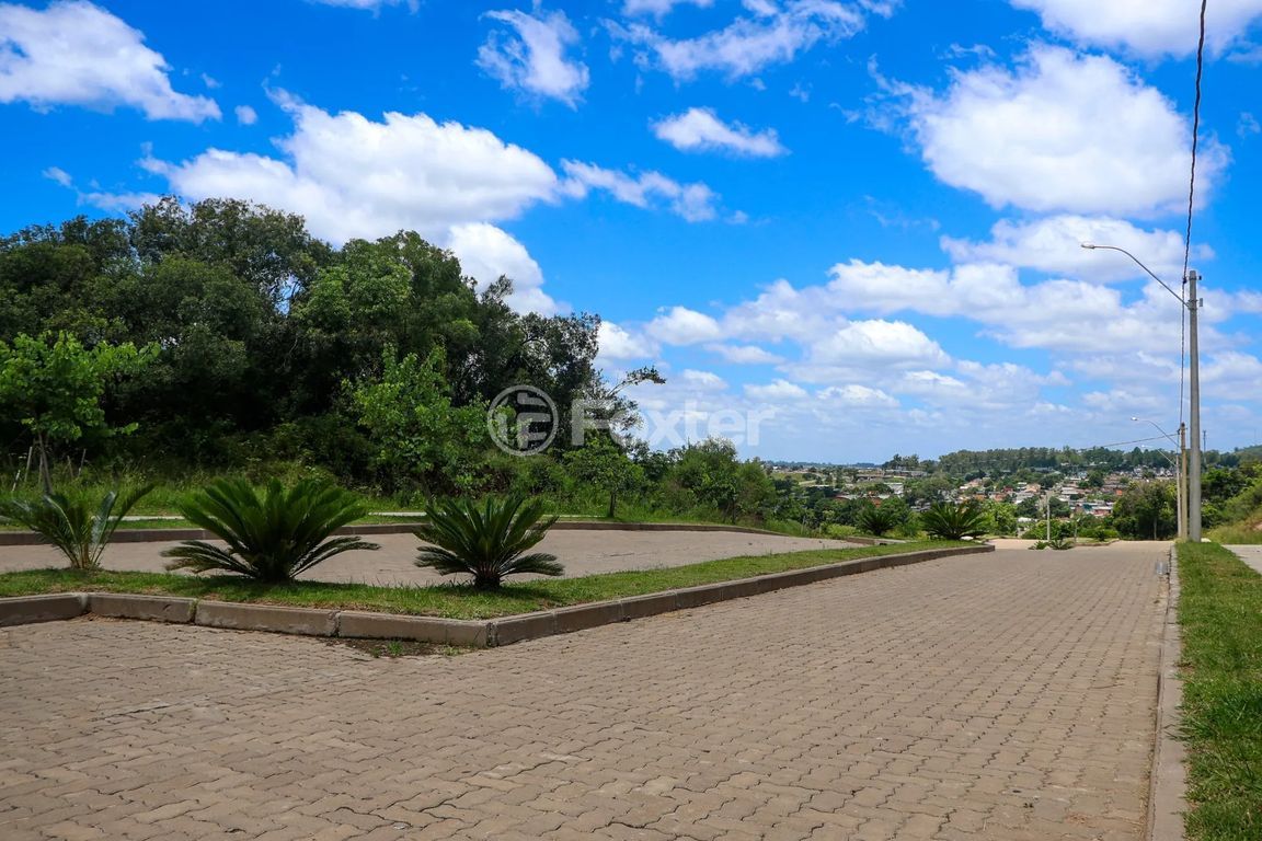 terreno lote condominio para comprar em Viterbo Trevisan, S/N - foto 12