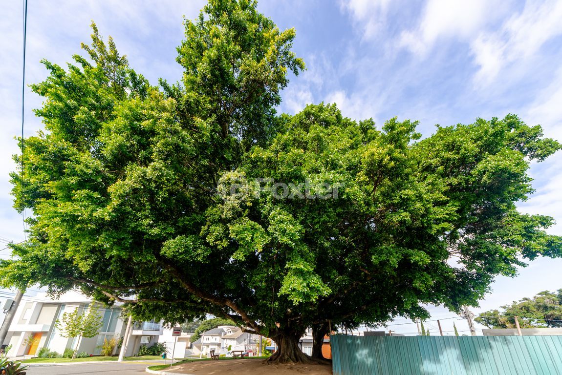 Casa em condominio para comprar em Francisco Solano Borges, 200 - foto 49