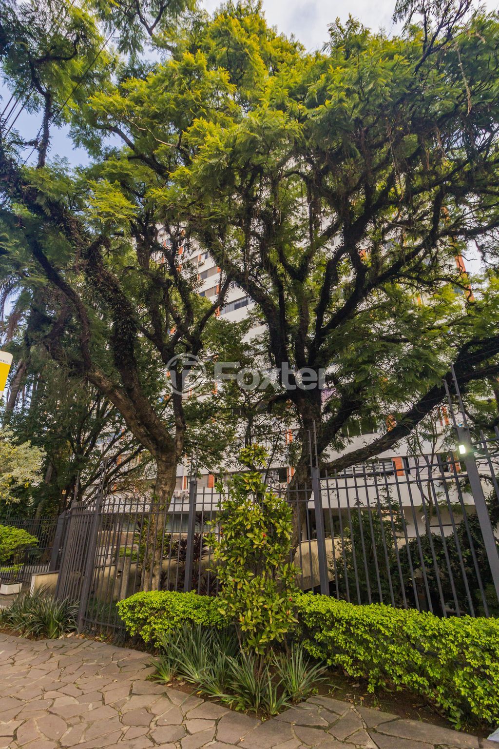 Apartamento para comprar em Doutor Nilo Peçanha, 550 - foto 47