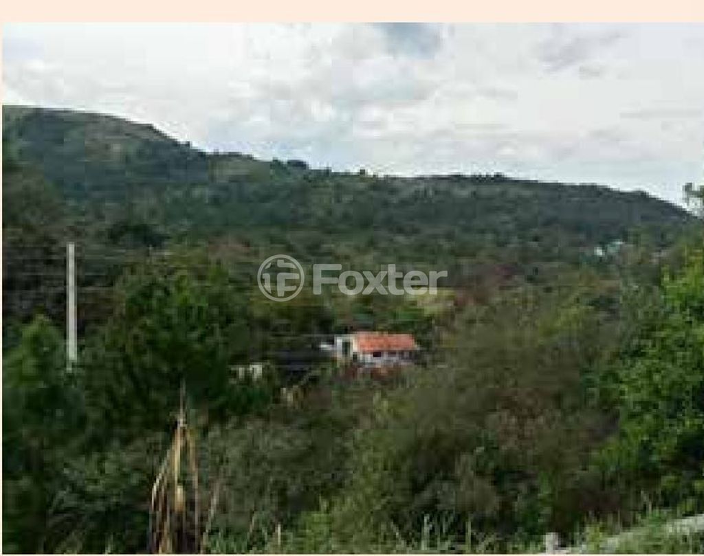 terreno lote condominio para comprar em Juca Batista, 2817 - foto 5