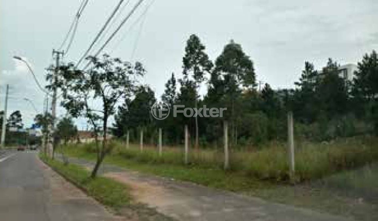 terreno lote condominio para comprar em Juca Batista, 2817 - foto 3