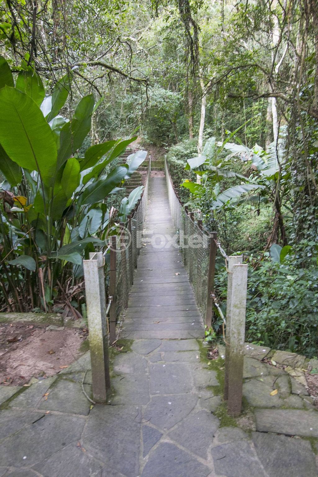Casa em condominio para comprar em Dolores Duran, 1584 - foto 64