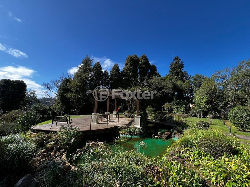 Apartamento para comprar em Piratini, 135 - foto 4