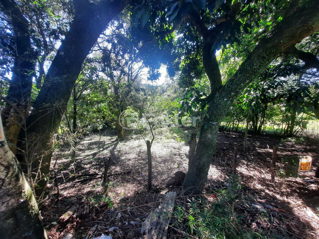 terreno lote condominio para comprar em Costa Gama, 3390 - foto 6