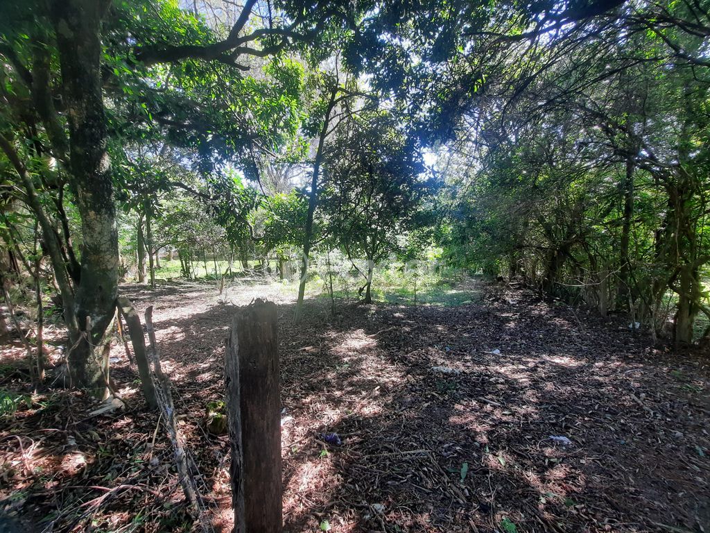 Foto do Anuncio