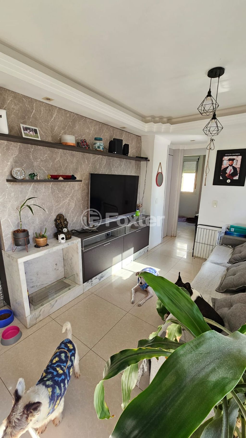 Foto 4