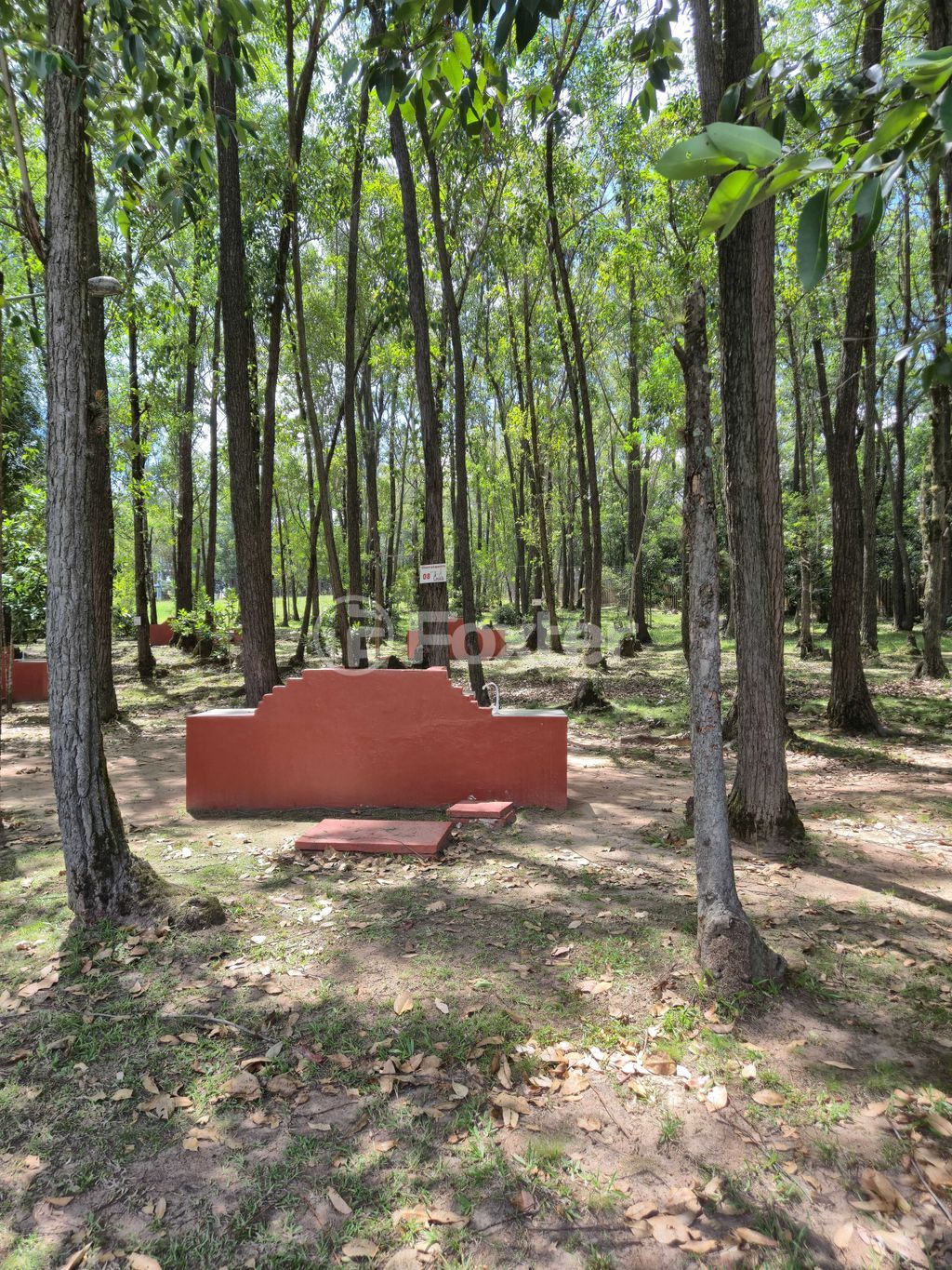 Foto do Anuncio