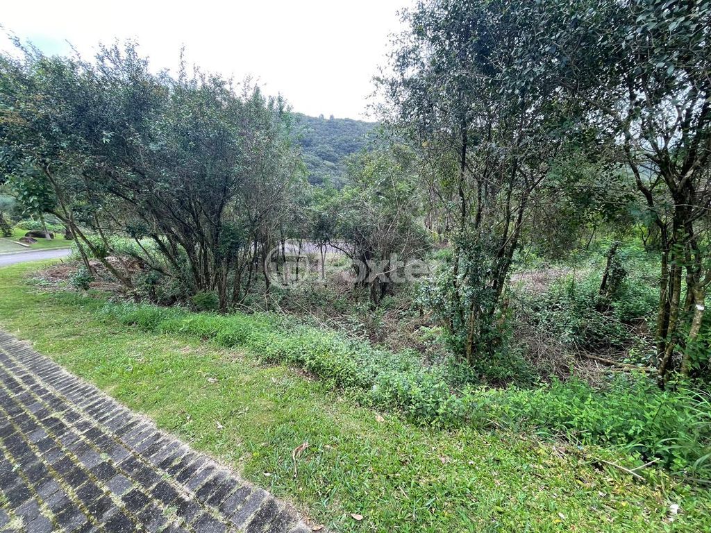 terreno lote condominio para comprar em Liberdade, 3500 - foto 3