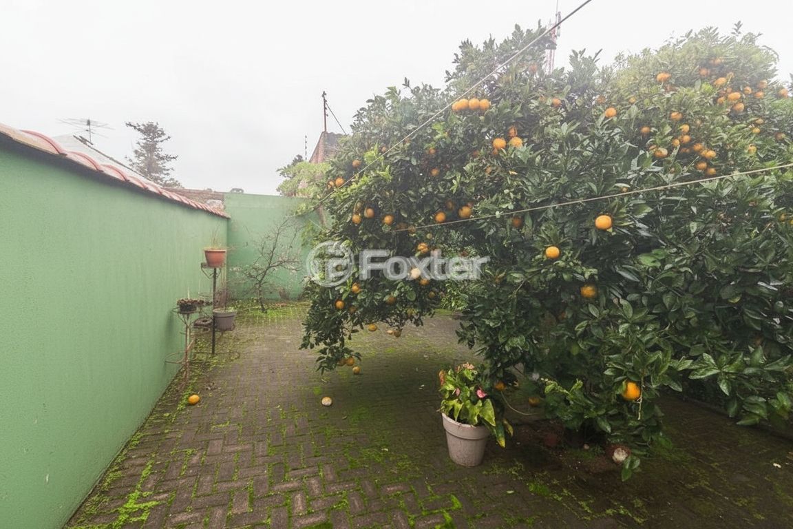 casa sobrado para comprar em Pereira Pinto, 111 - foto 19