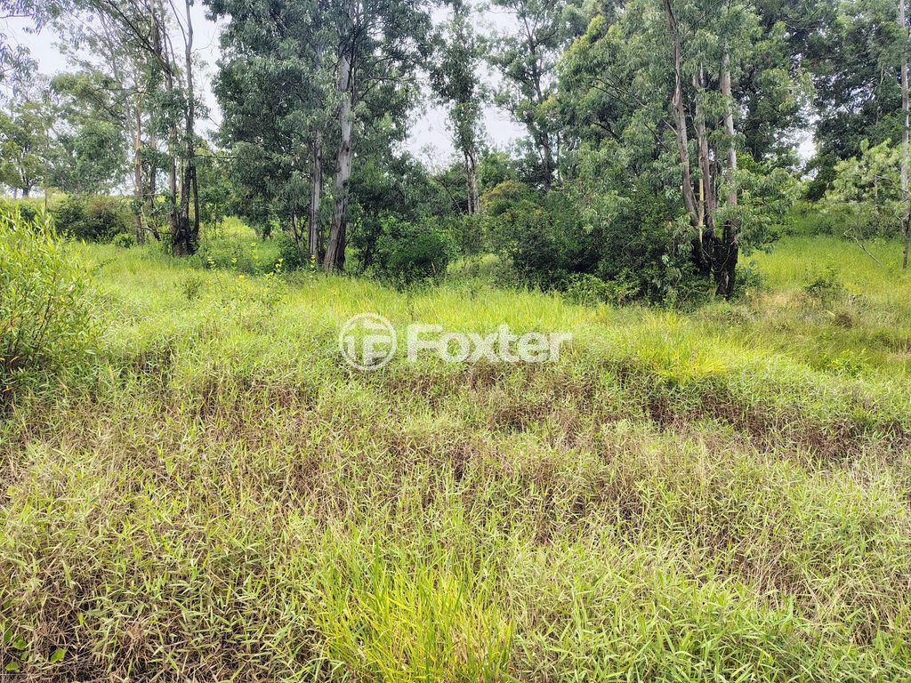 terreno lote condominio para comprar em Liberdade, 3500 - foto 3