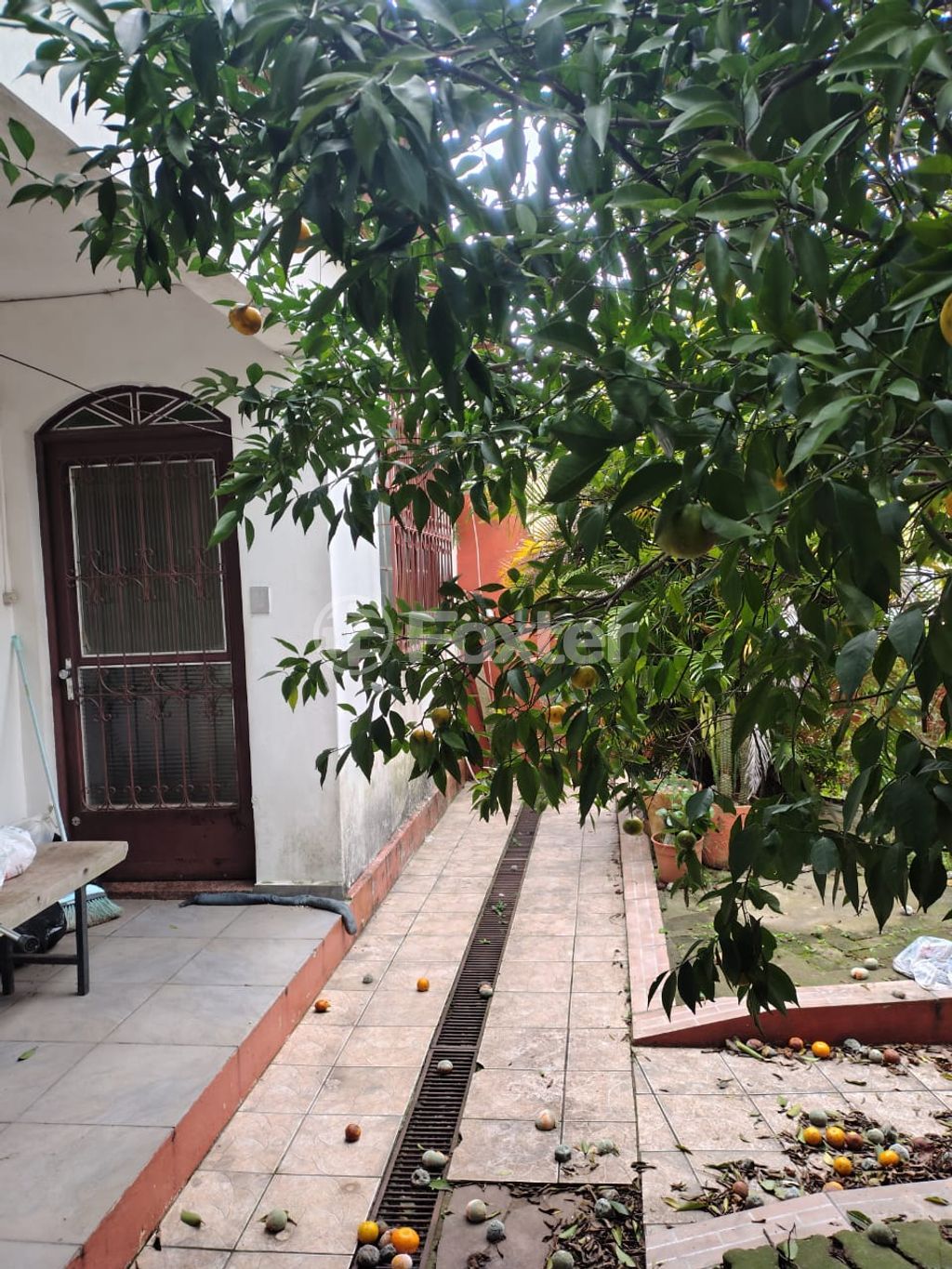 casa sobrado para comprar em André Primo Biazetto, 270 - foto 9