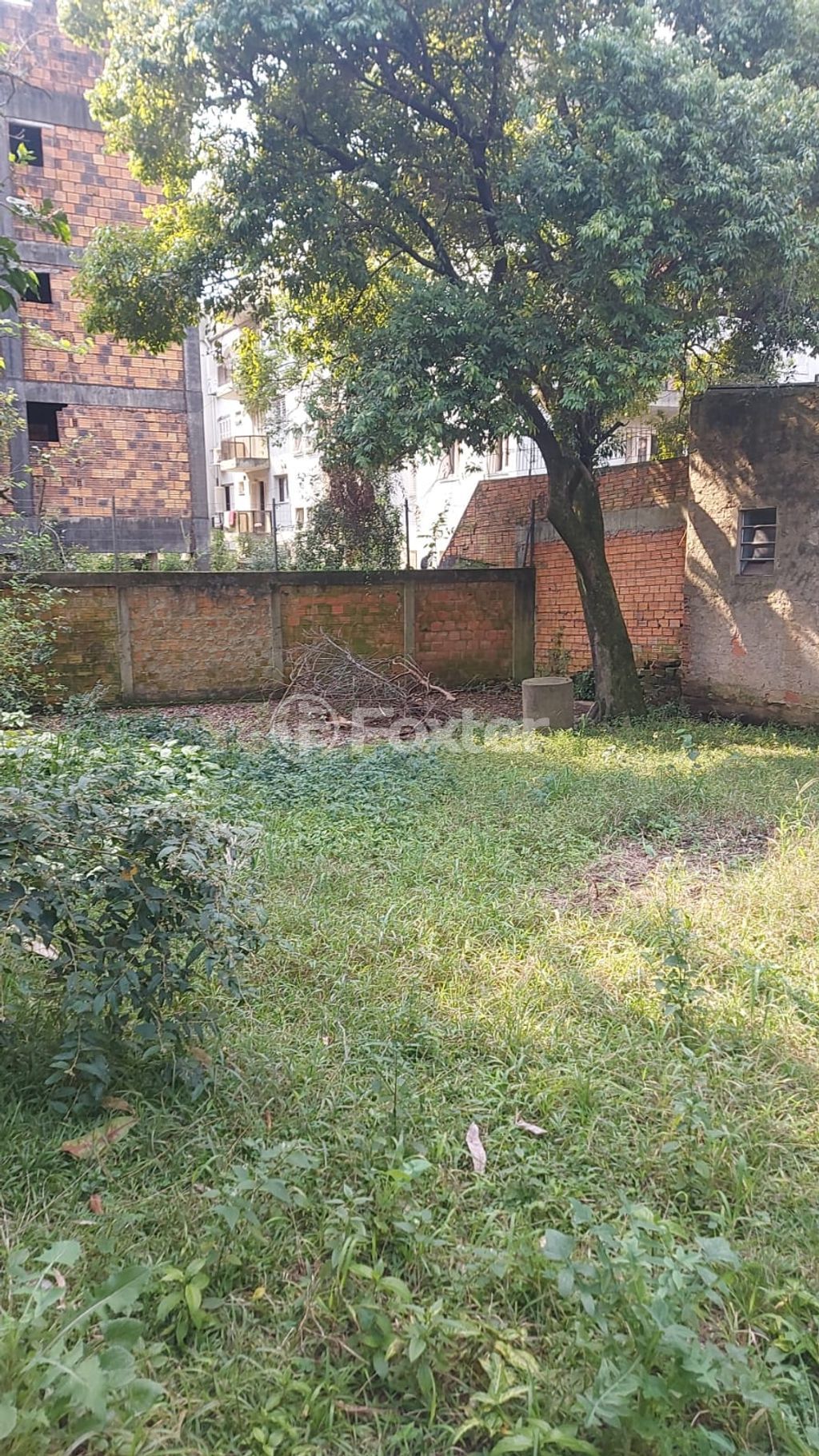 Foto 0
