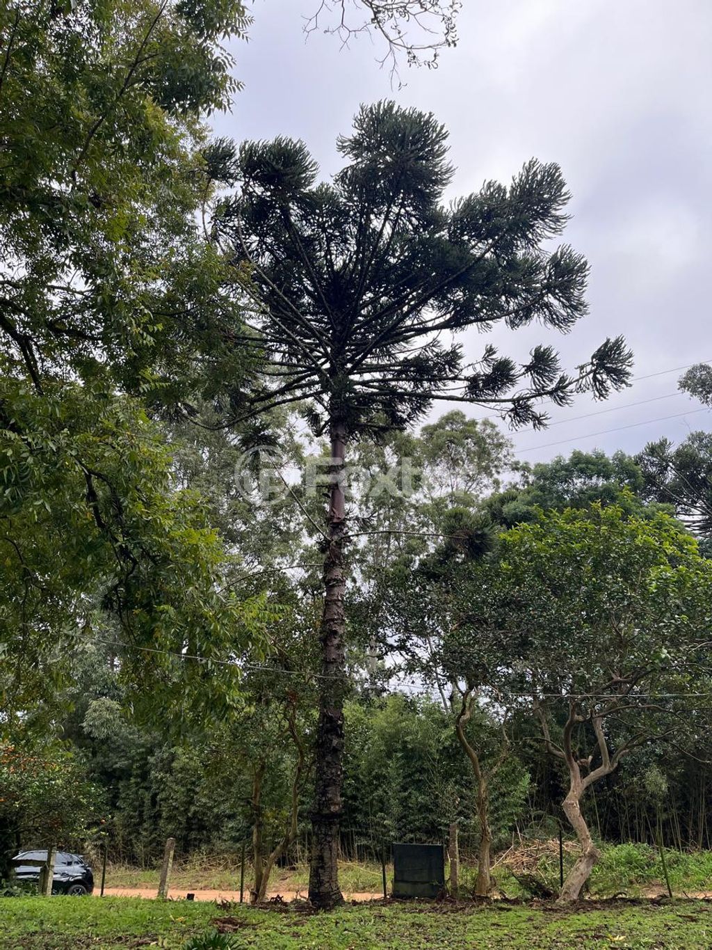 sitio chachara fazenda para comprar em Dos Caetanos, 4144 - foto 8