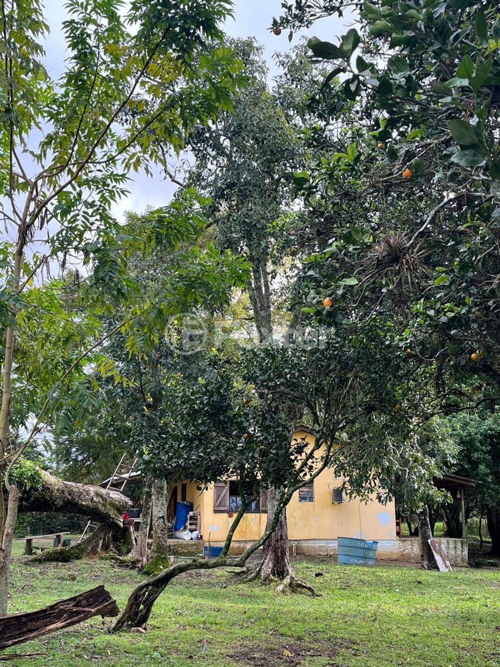 sitio chachara fazenda para comprar em Dos Caetanos, 4144 - foto 7