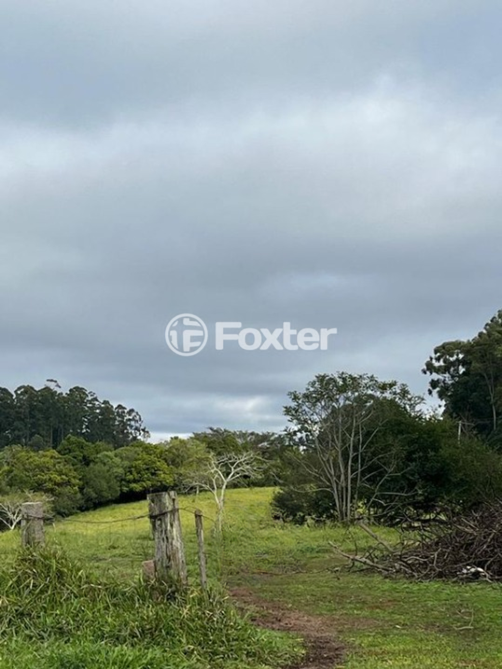 sitio chachara fazenda para comprar em Dos Caetanos, 4144 - foto 10
