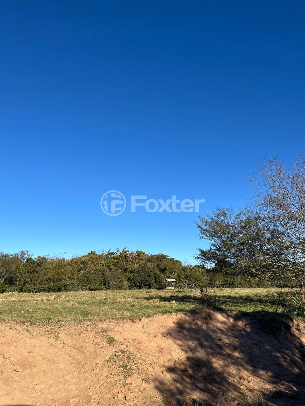 sitio chachara fazenda para comprar em do Lami, 4929 - foto 15