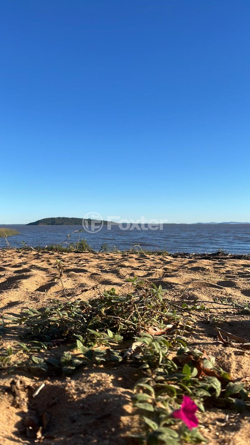 sitio chachara fazenda para comprar em do Lami, 4929 - foto 8