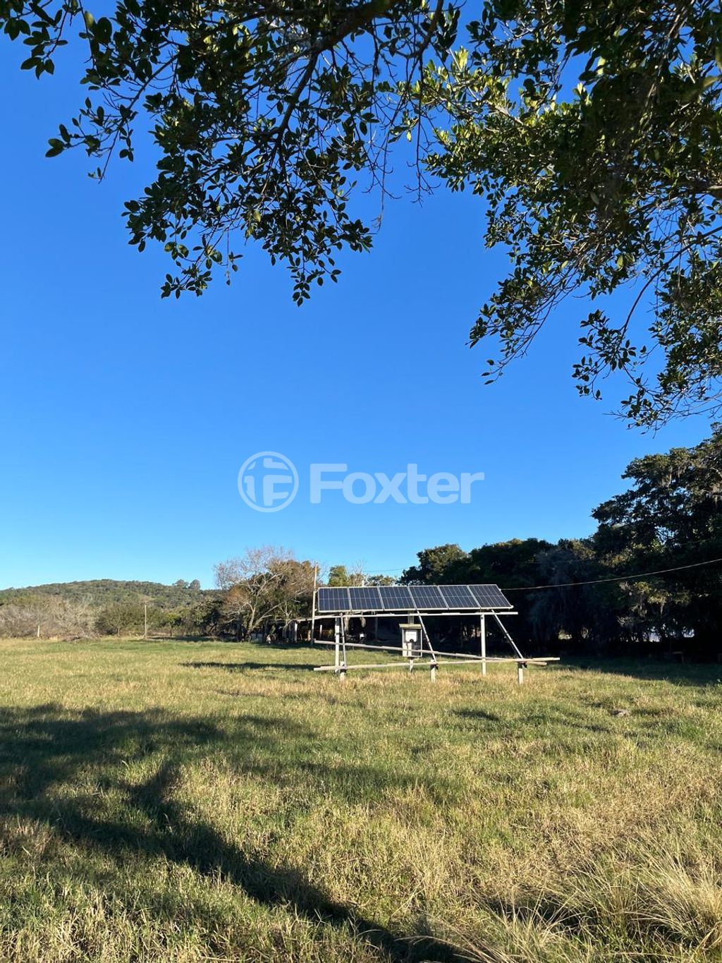 sitio chachara fazenda para comprar em do Lami, 4929 - foto 13