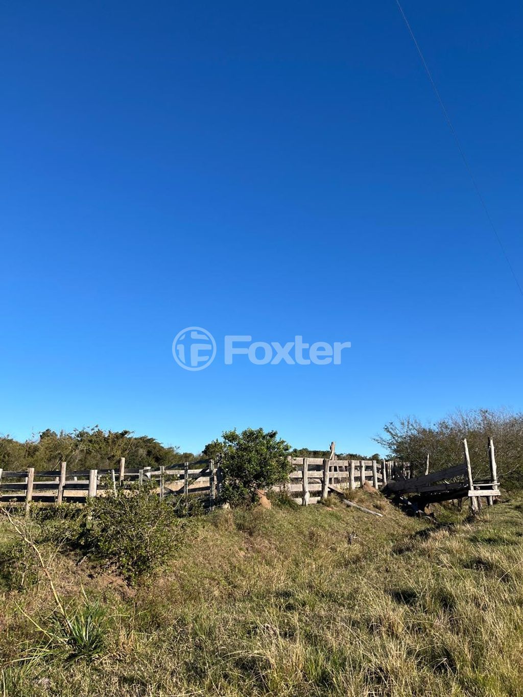 sitio chachara fazenda para comprar em do Lami, 4929 - foto 14