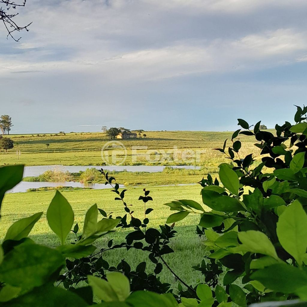 sitio chachara fazenda para comprar em RS-040, 72 - foto 5