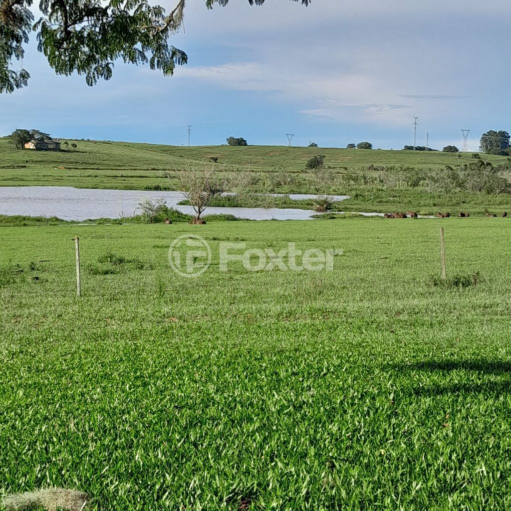 sitio chachara fazenda para comprar em RS-040, 72 - foto 4