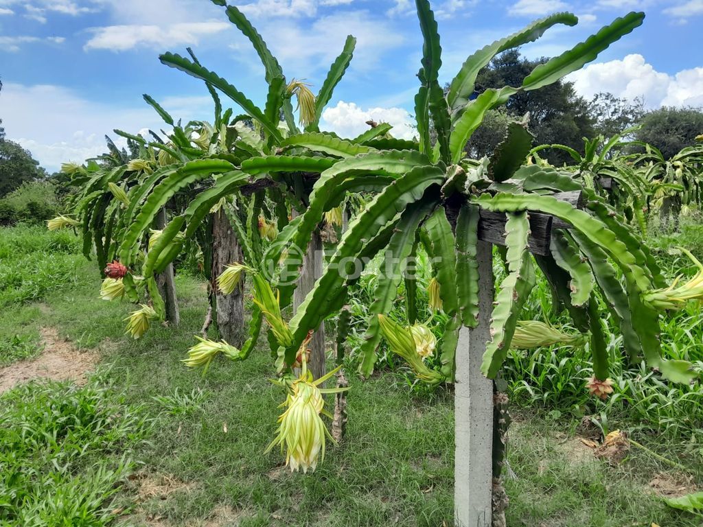 sitio chachara fazenda para comprar em RS-040, 72 - foto 24