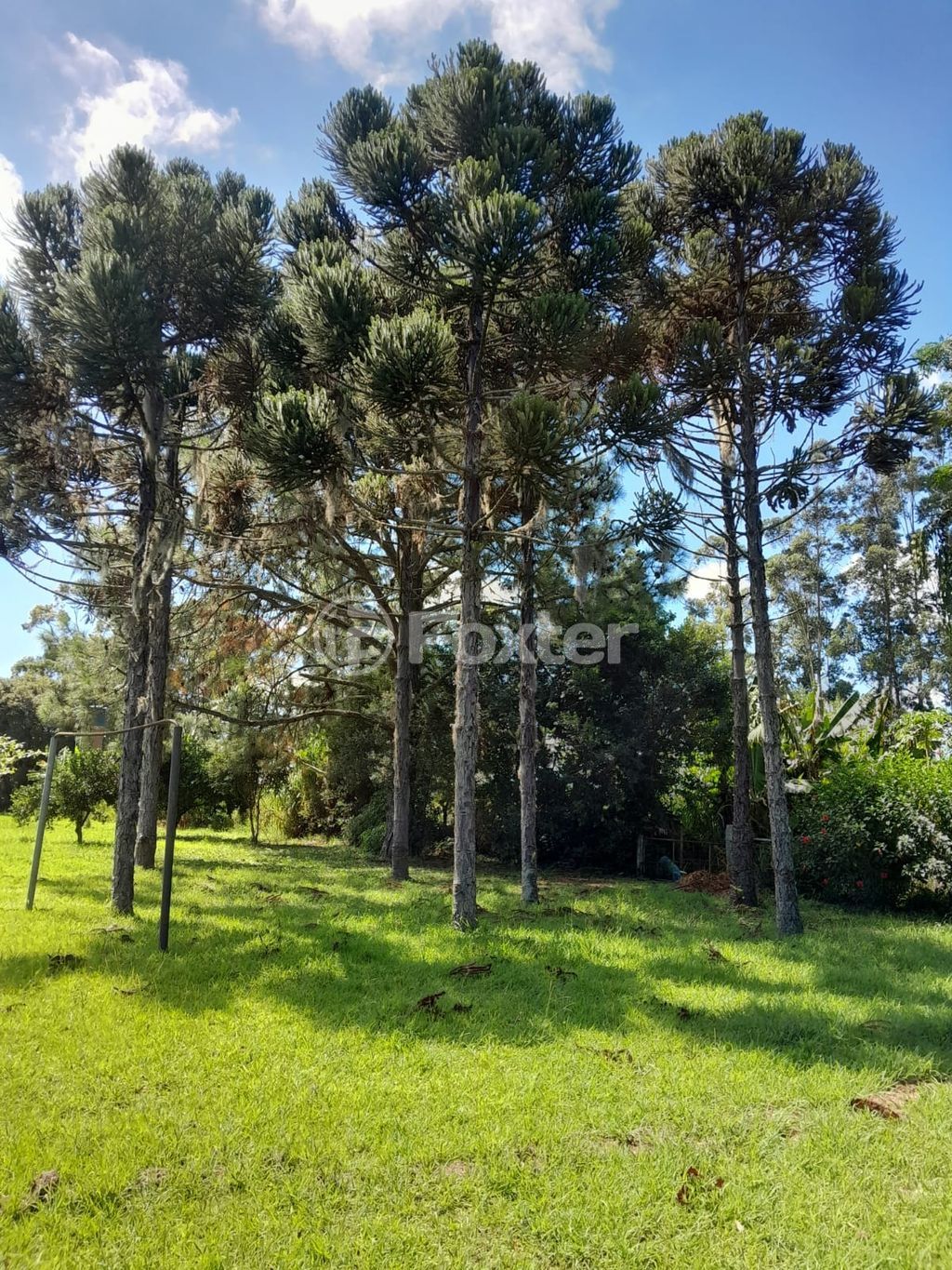 sitio chachara fazenda para comprar em RS-040, 72 - foto 28