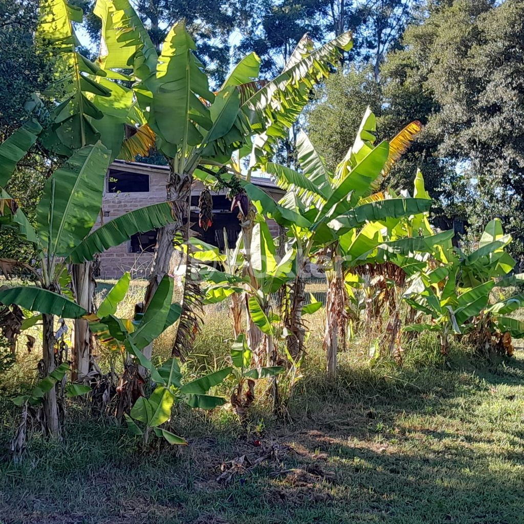 sitio chachara fazenda para comprar em RS-040, 72 - foto 27