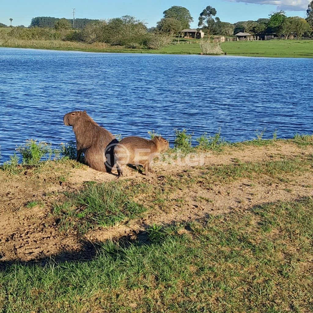 sitio chachara fazenda para comprar em RS-040, 72 - foto 17