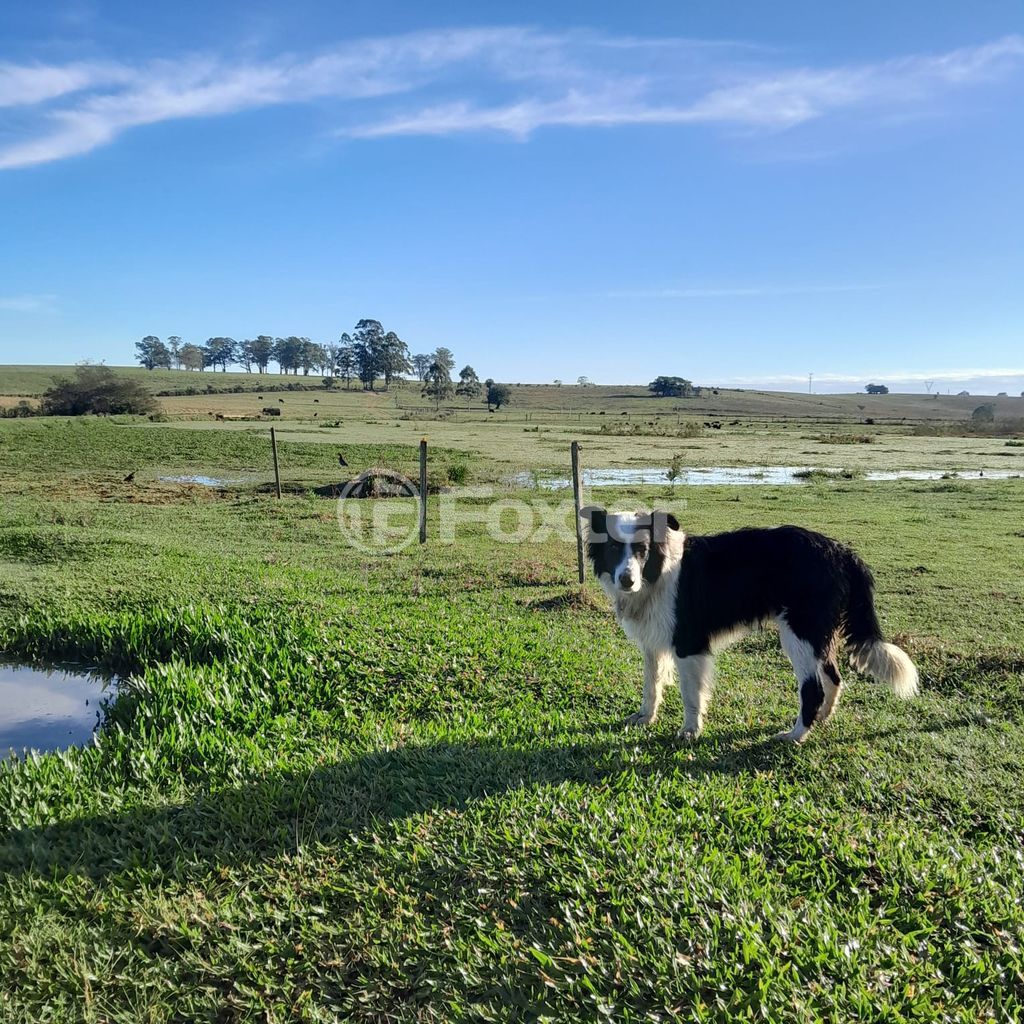 sitio chachara fazenda para comprar em RS-040, 72 - foto 18