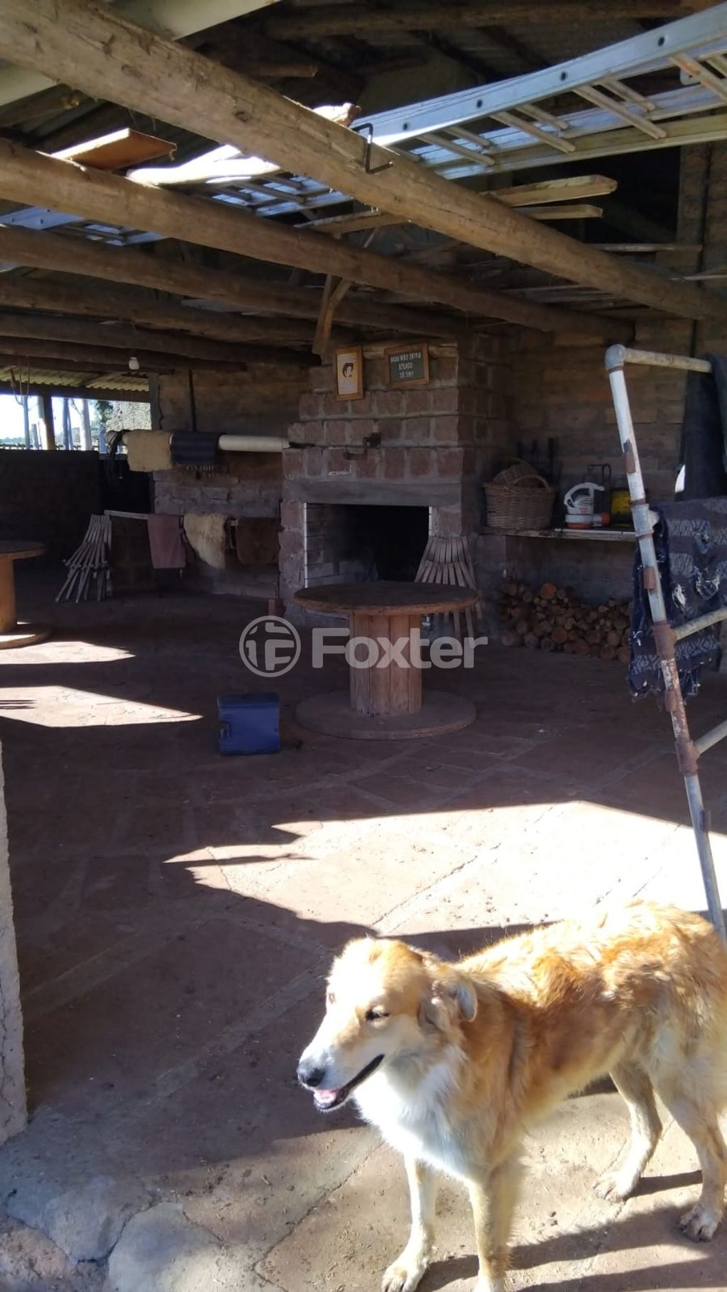 sitio chachara fazenda para comprar em RS-040, 72 - foto 14