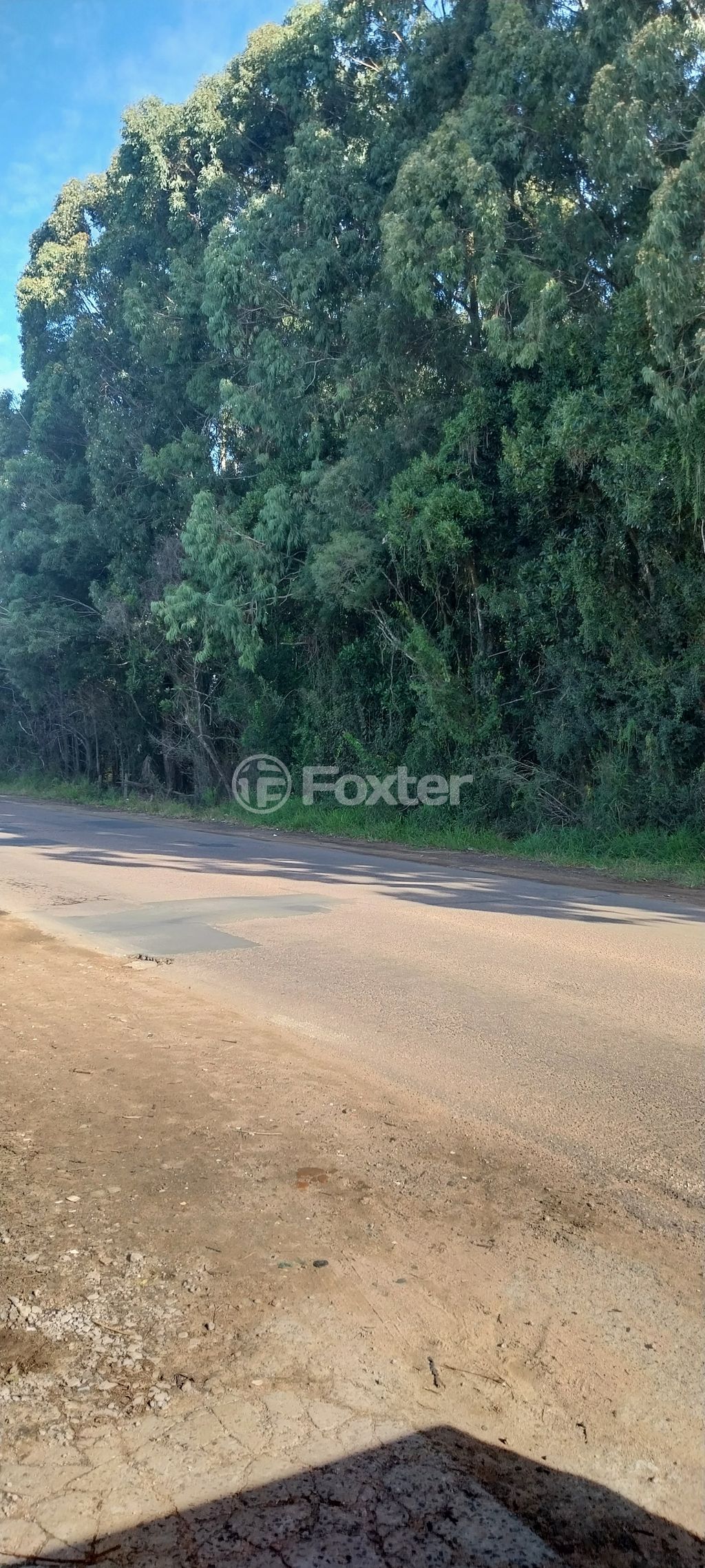Foto 0
