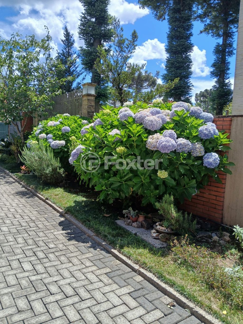 Casa em condominio para comprar em Carlos Lengler Filho, 173 - foto 3