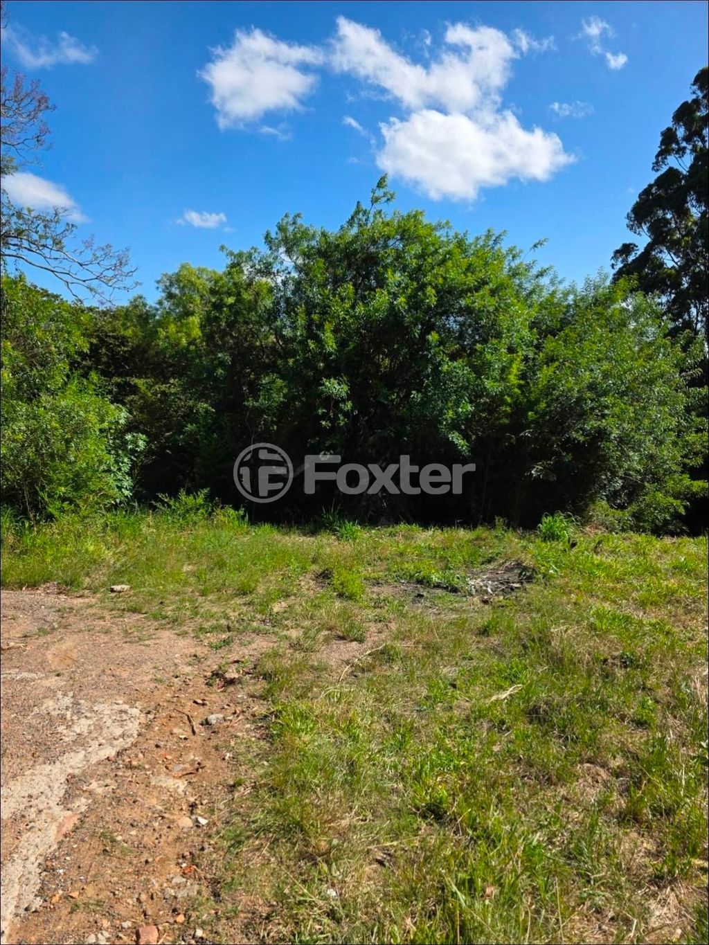 terreno lote condominio para comprar em Giuseppe Salomoni, 915 - foto 3