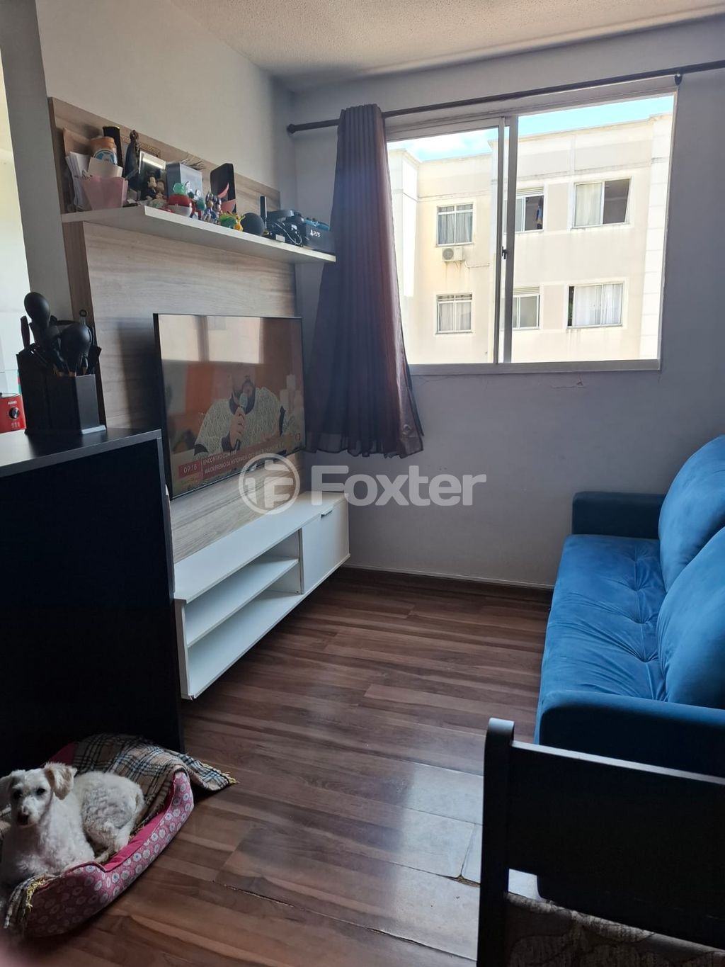 Foto 2
