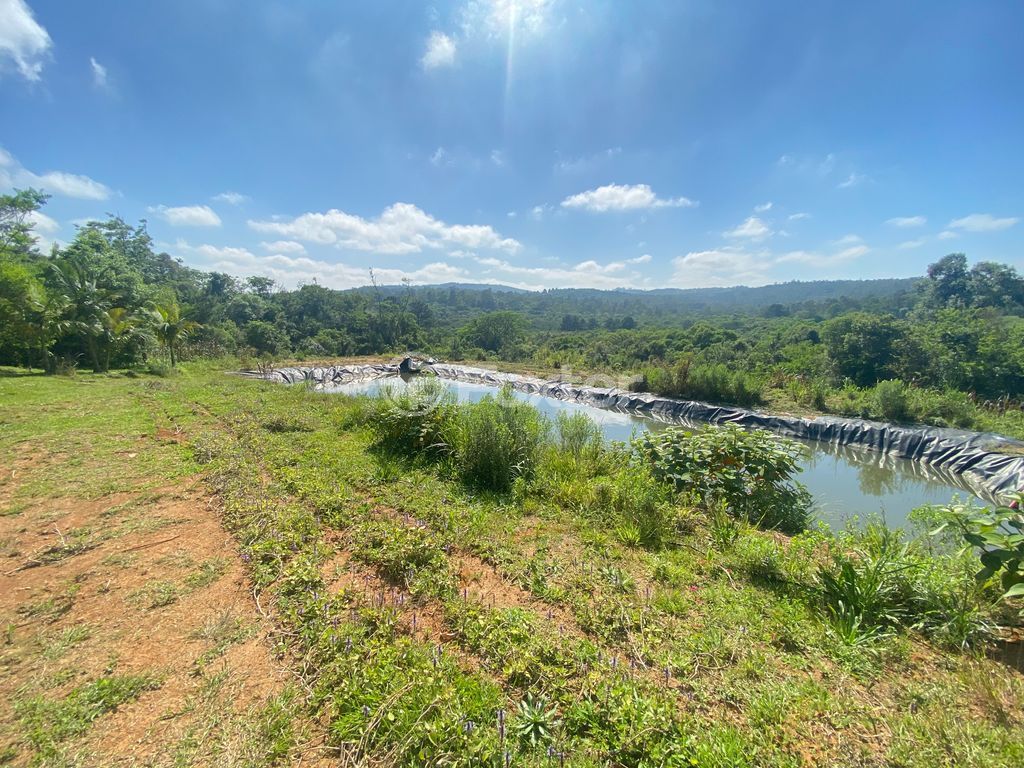 sitio chachara fazenda para comprar em José Imhoff, 1273 - foto 9