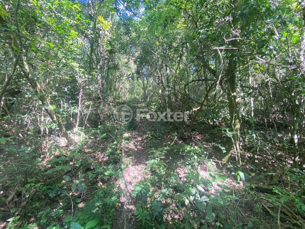 sitio chachara fazenda para comprar em José Imhoff, 1273 - foto 19
