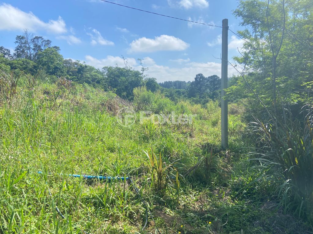 sitio chachara fazenda para comprar em José Imhoff, 1273 - foto 23
