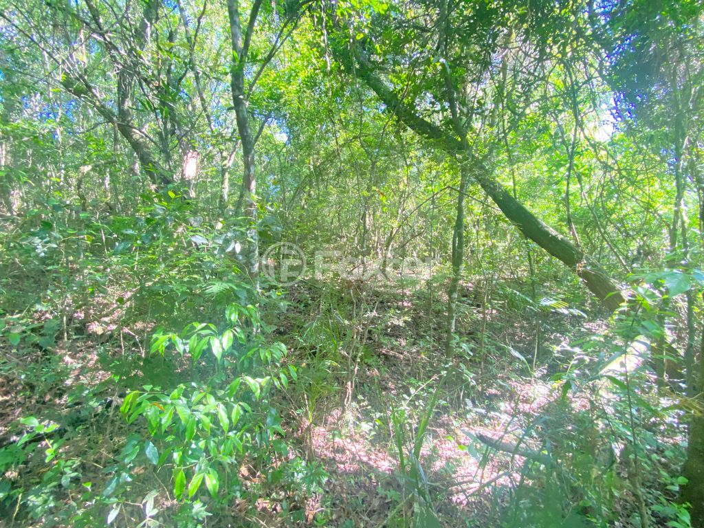 sitio chachara fazenda para comprar em José Imhoff, 1273 - foto 20